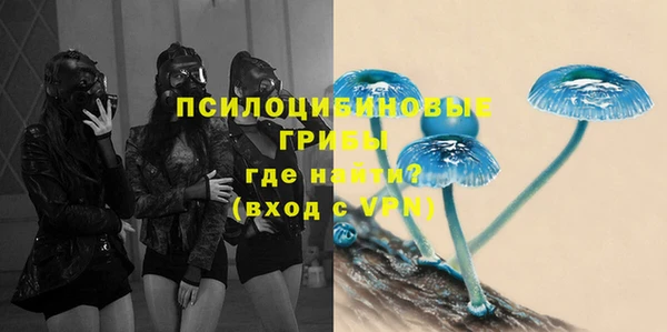 трава Алексин