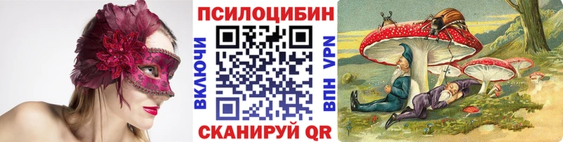 Псилоцибиновые грибы мицелий  blacksprut ONION  Перевоз 