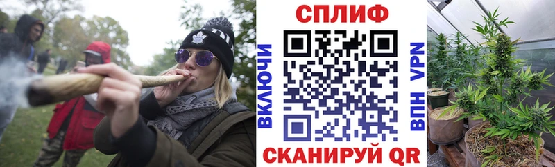 купить наркотики цена  Перевоз  блэк спрут зеркало  Марихуана индика 